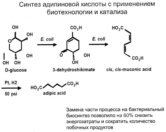Формула адипиновой кислоты. Синтез адипиновой кислоты из циклогексанола. Адипиновая кислота циклизация. Химическая схема адипиновой кислоты. Адипиновая кислота из фенола.